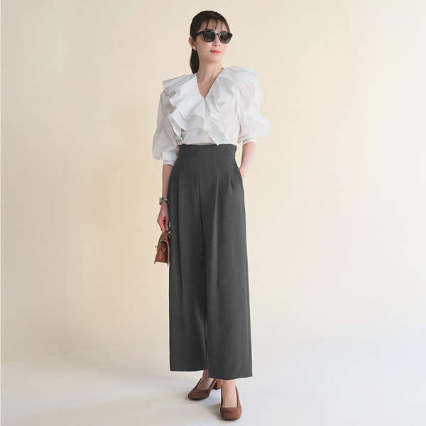 Elegant Stylish Pant